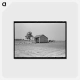 アートポストカード-Hail-Ruined Cotton
 - ラッセル リー Postcard.
