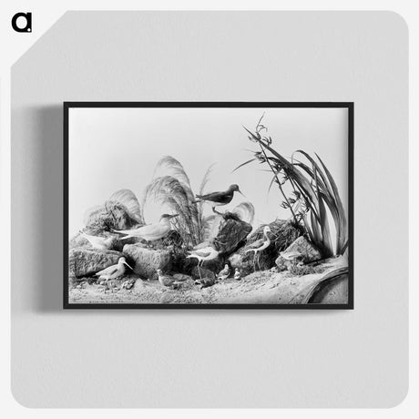 1-84_The-Burton-Brothers_blk-crop