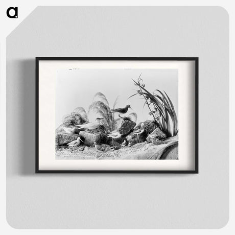 1-84_The-Burton-Brothers_blk