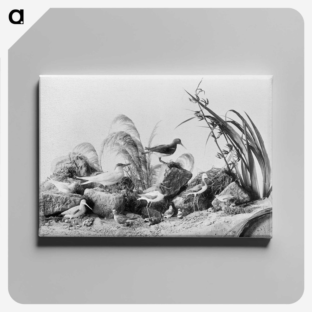 1-84_The-Burton-Brothers_canvas