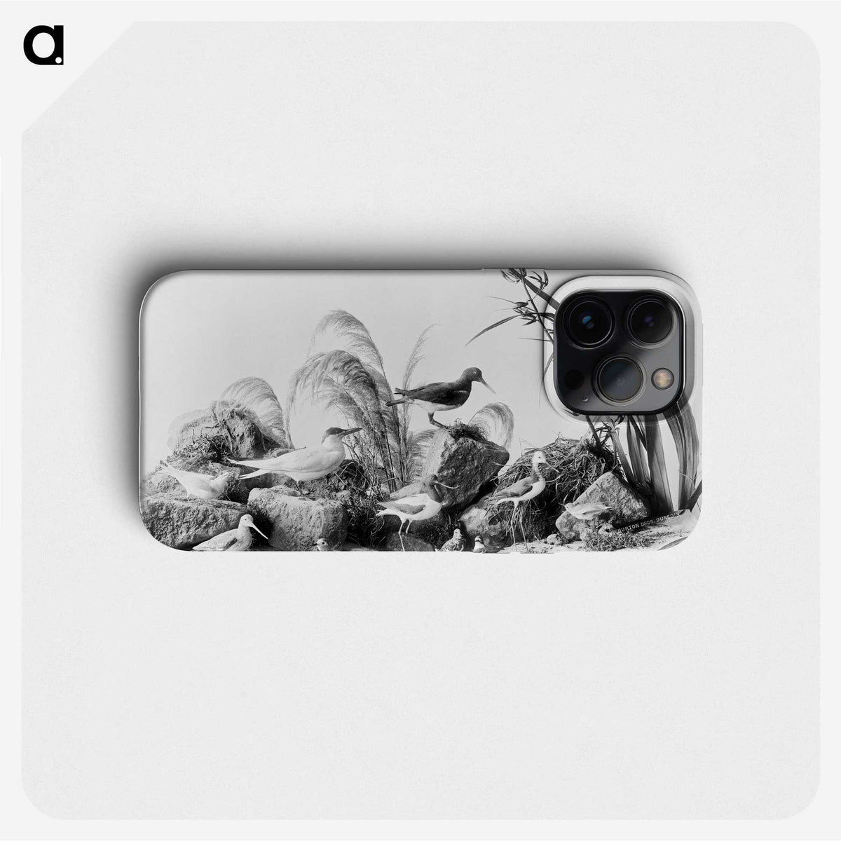 1-84_The-Burton-Brothers_phone