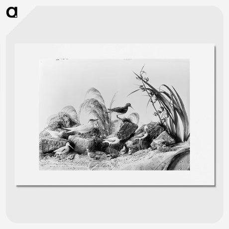 1-84_The-Burton-Brothers_picture