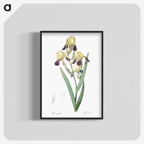 1-84_The-Lilies_blk-crop