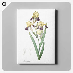 1-84_The-Lilies_canvas