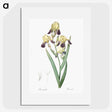 1-84_The-Lilies_picture