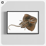 1-84_The-Natural-History-of-British-Fishes_blk-crop