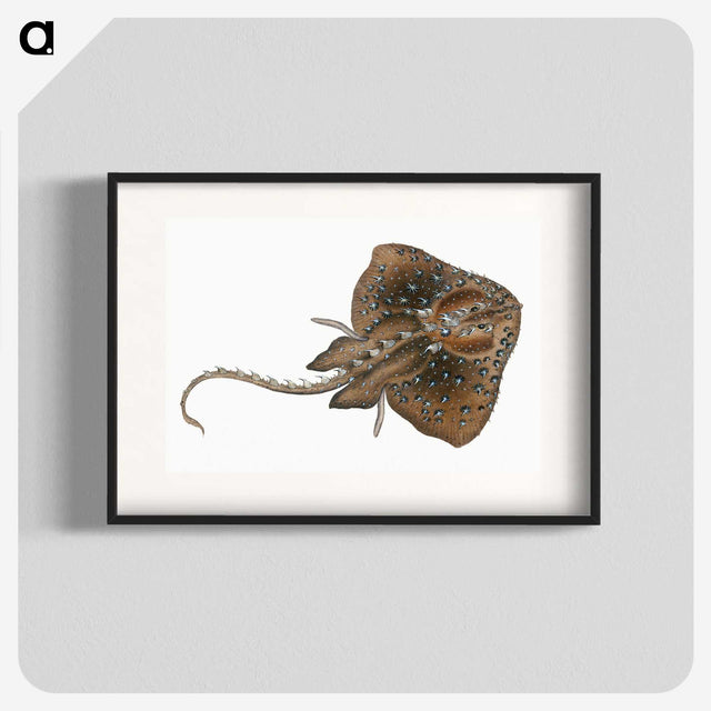 1-84_The-Natural-History-of-British-Fishes_blk