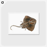 1-84_The-Natural-History-of-British-Fishes_hagaki