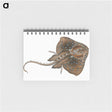 1-84_The-Natural-History-of-British-Fishes_memo