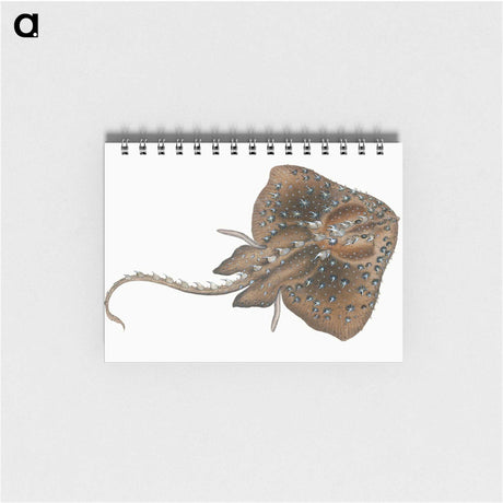 1-84_The-Natural-History-of-British-Fishes_memo