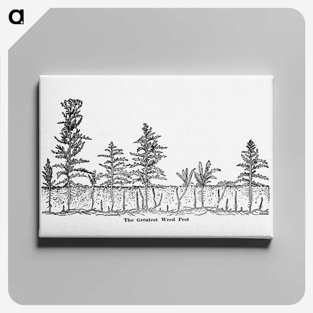1-84_The-Open-Door-to-Independence_canvas