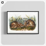 1-84_The-Viviparous-Quadrupeds_blk-crop