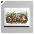 1-84_The-Viviparous-Quadrupeds_canvas
