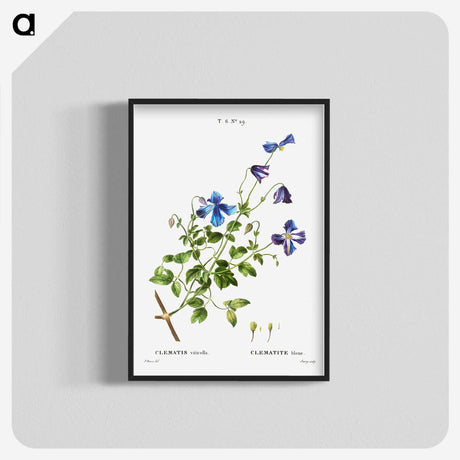1-84_Treatise-on-Trees-and-Shrubs_blk-crop