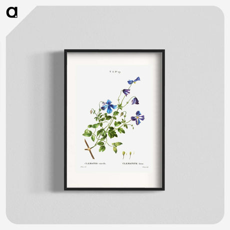 1-84_Treatise-on-Trees-and-Shrubs_blk