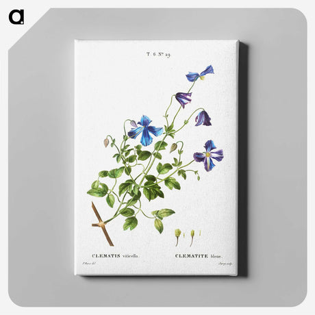 1-84_Treatise-on-Trees-and-Shrubs_canvas
