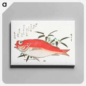 アートパネル-Medetai Fish and Sasaki Bamboo, from the series Uozukushi (Every Variety of Fish)
 - 歌川 広重 Canvas.