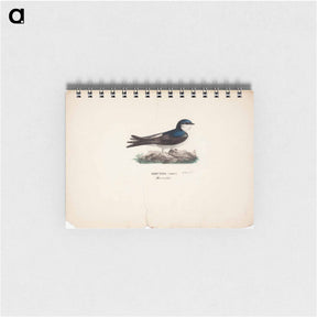 アートメモ帳-Common house martin - ヴィルヘルム フォン ライト Memo.