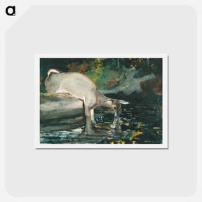 アートポストカード-Deer Drinking - ウィンスロー ホーマー Postcard.