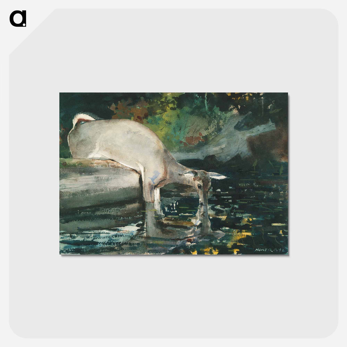 アートポストカード-Deer Drinking - ウィンスロー ホーマー Postcard.