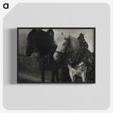 1-85_Alfred-Stieglitz_blk-crop