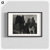 1-85_Alfred-Stieglitz_blk