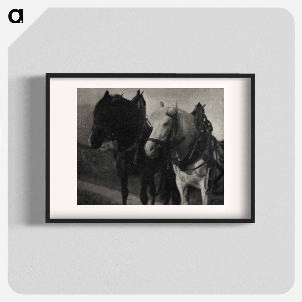 Horses during 20th century photo - アルフレッド スティーグリッツ Poster.