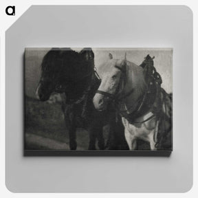 1-85_Alfred-Stieglitz_canvas