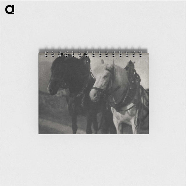 1-85_Alfred-Stieglitz_memo
