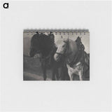 Horses during 20th century photo - アルフレッド スティーグリッツ Memo.