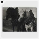 1-85_Alfred-Stieglitz_picture-crop