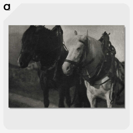 1-85_Alfred-Stieglitz_picture-crop