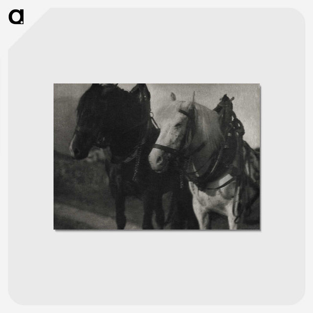 1-85_Alfred-Stieglitz_postcard