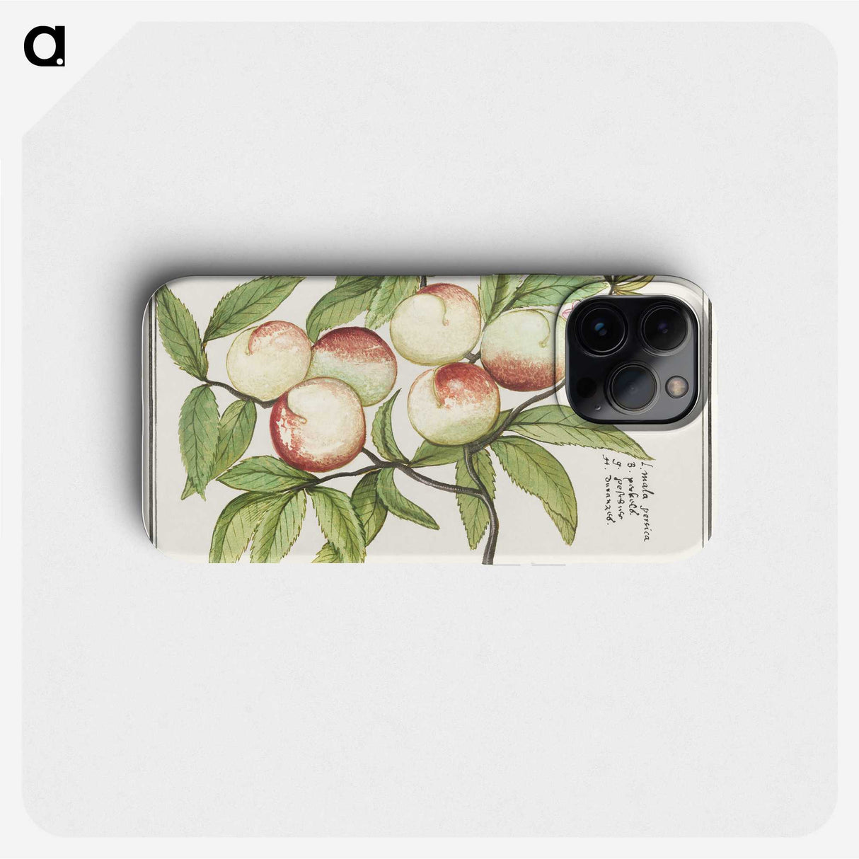 1-85_Anselmus-Boetius-de-Boodt_phone