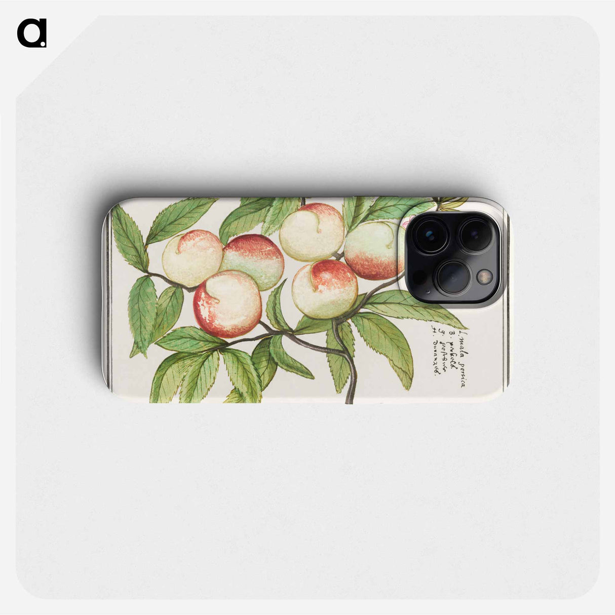 Peaches - アンセルムス ボエティウス デ ブート Phone Case.