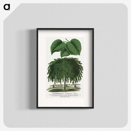 1-85_Botanical-Specimen-Plates_blk