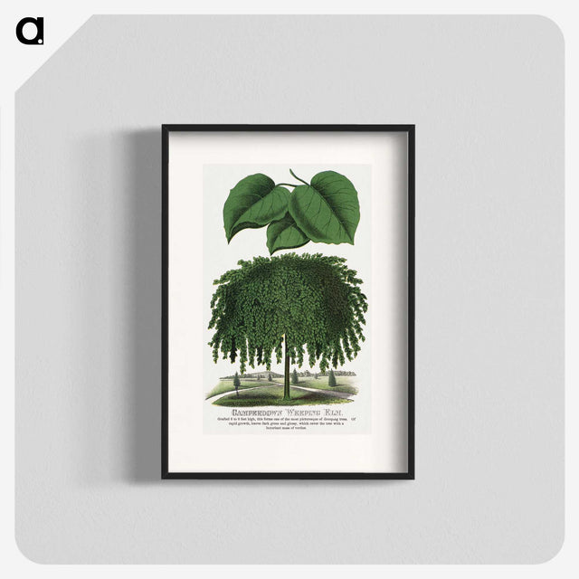 1-85_Botanical-Specimen-Plates_blk