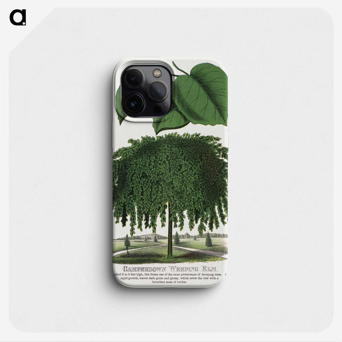 1-85_Botanical-Specimen-Plates_phone