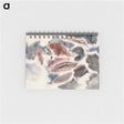 1-85_Charles-Demuth_memo