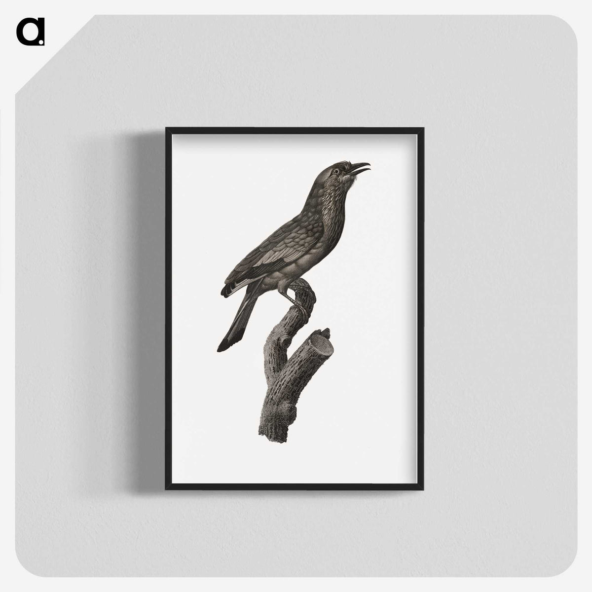 1-85_Des-Oiseaux-de-Paradis_blk-crop