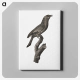 1-85_Des-Oiseaux-de-Paradis_canvas