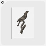 1-85_Des-Oiseaux-de-Paradis_hagaki