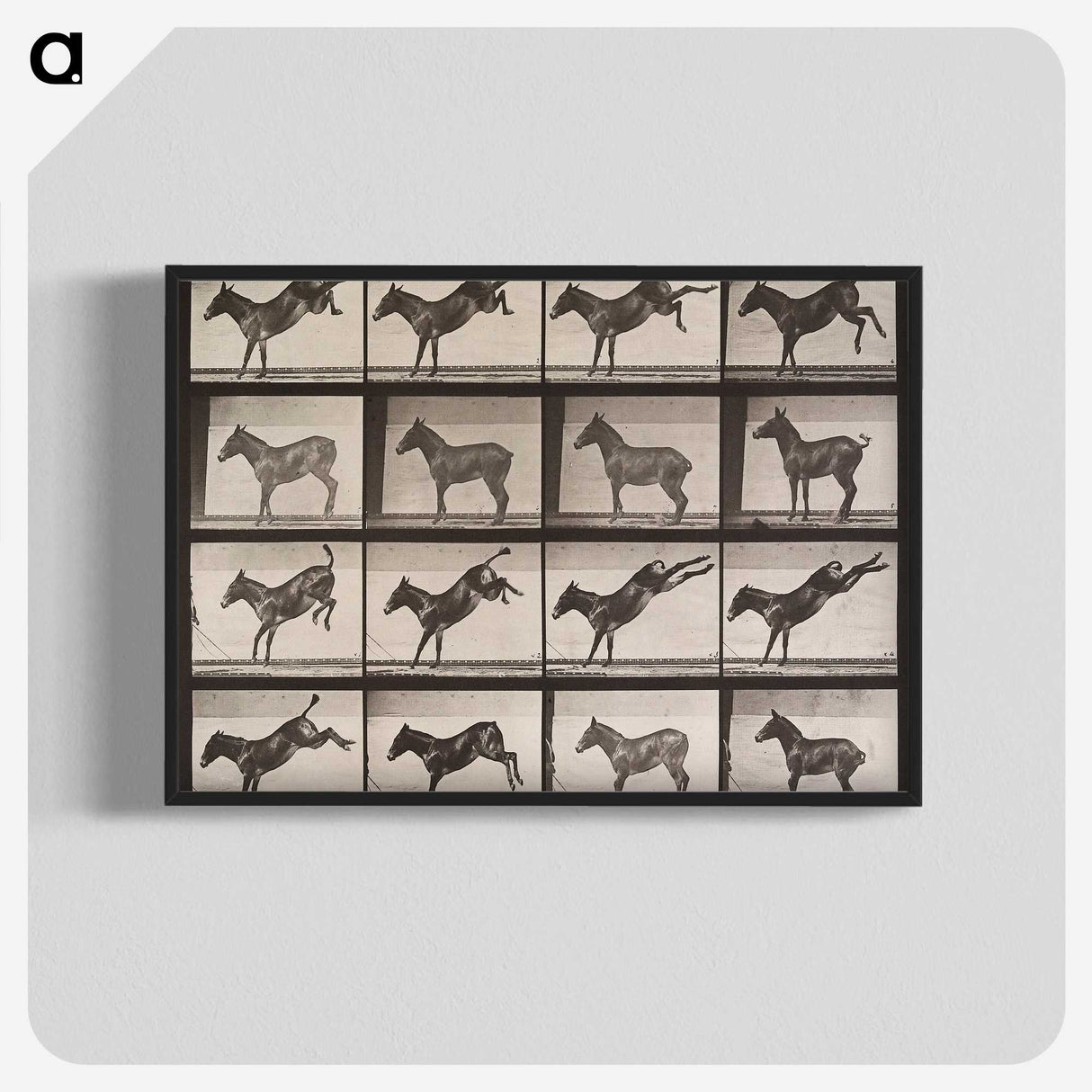 1-85_Eadweard-Muybridge_blk-crop