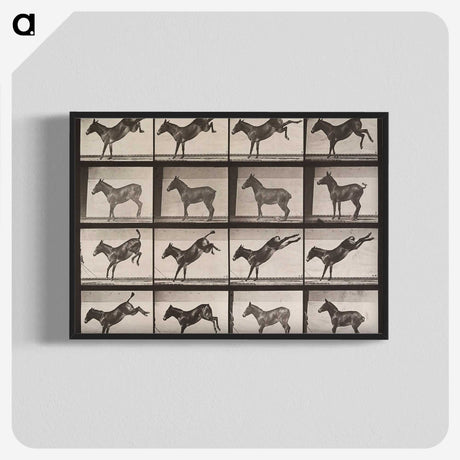 1-85_Eadweard-Muybridge_blk-crop