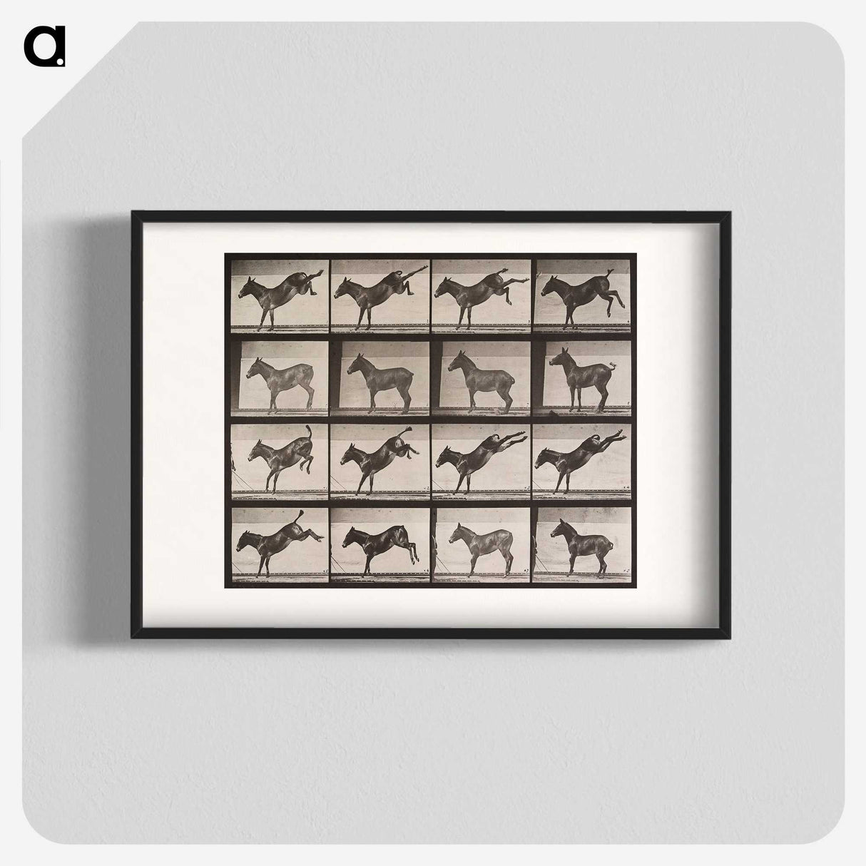 1-85_Eadweard-Muybridge_blk