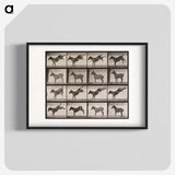 1-85_Eadweard-Muybridge_blk