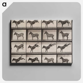 1-85_Eadweard-Muybridge_canvas