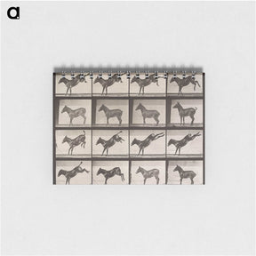 1-85_Eadweard-Muybridge_memo