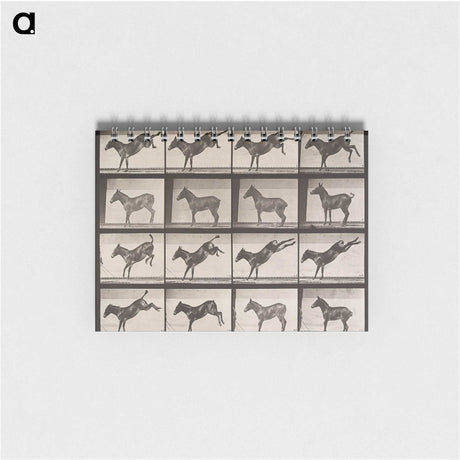 1-85_Eadweard-Muybridge_memo