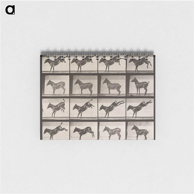 1-85_Eadweard-Muybridge_memo